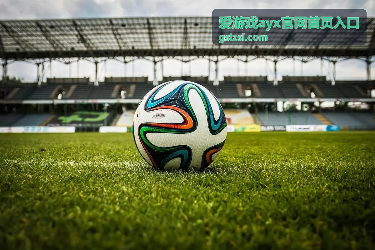 爱游戏ayx奖励预览常规组配图