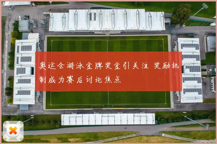 奥运会游泳金牌奖金引关注 奖励机制成为赛后讨论焦点