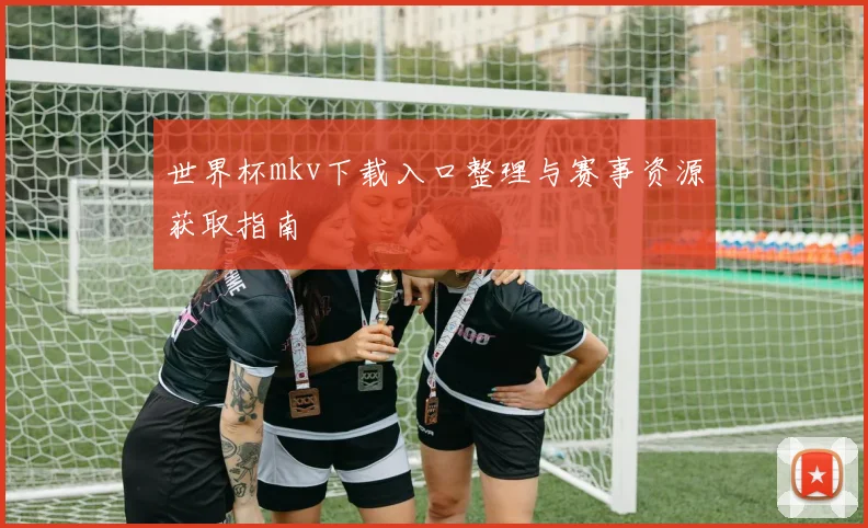 世界杯mkv下载入口整理与赛事资源获取指南
