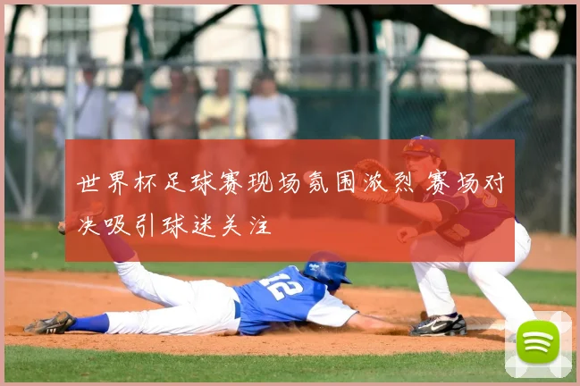 世界杯足球赛现场氛围浓烈 赛场对决吸引球迷关注