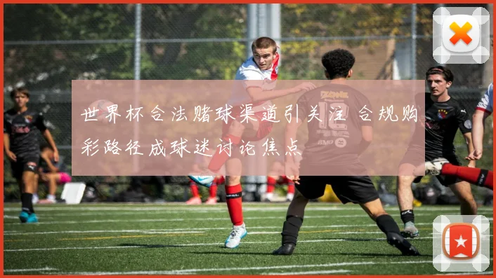 世界杯合法赌球渠道引关注 合规购彩路径成球迷讨论焦点