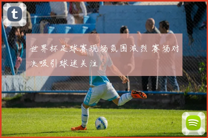 世界杯足球赛现场氛围浓烈 赛场对决吸引球迷关注