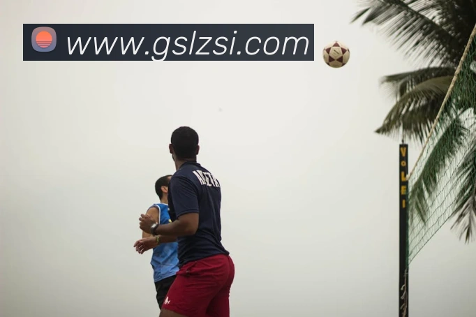 世界杯官方入口平台生态图